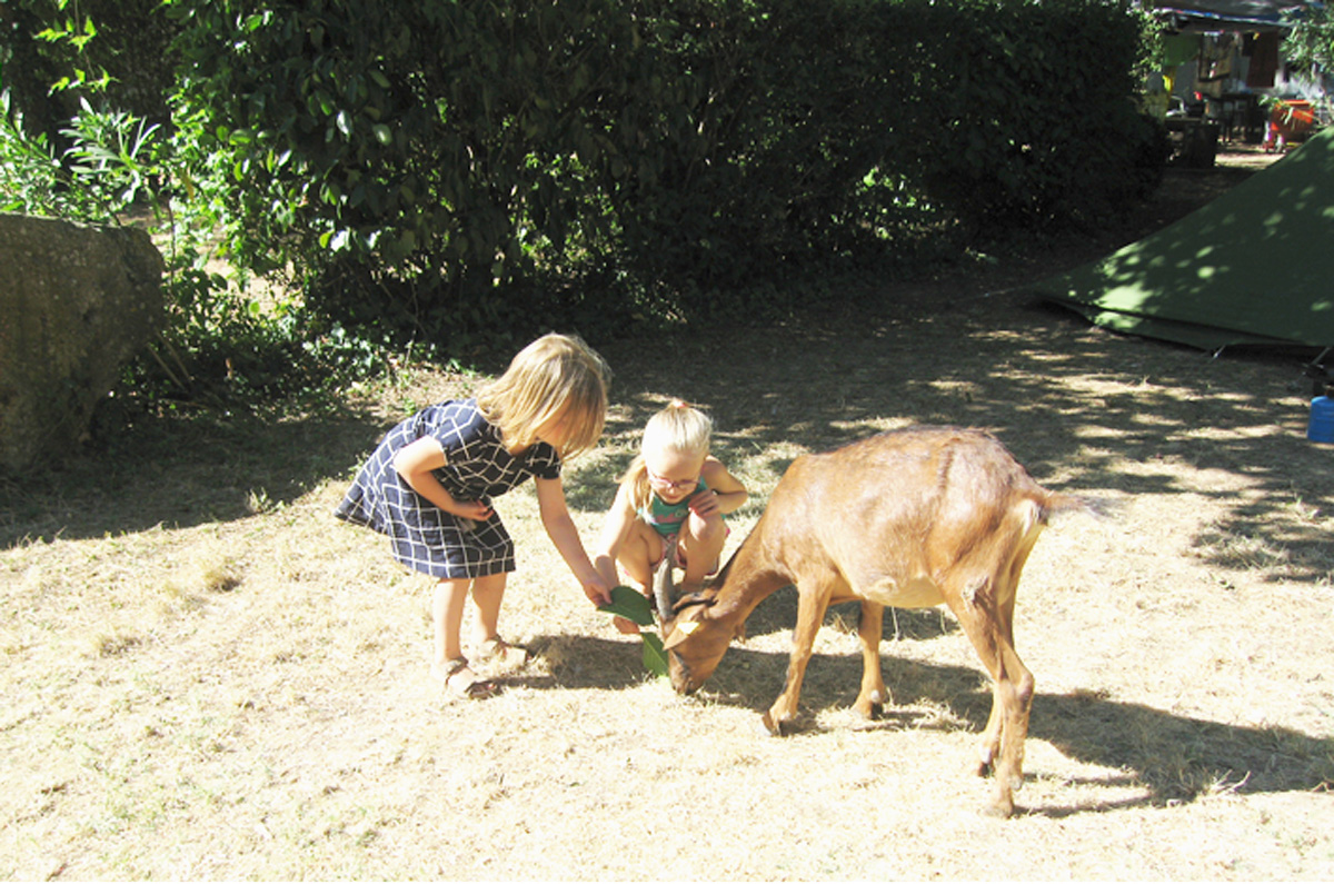 camping var club enfant camping var club enfant