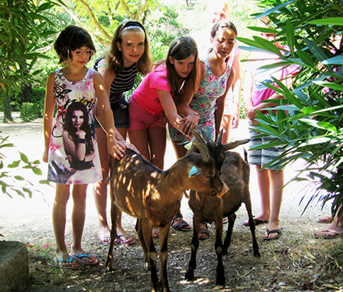 camping familial dans le Var