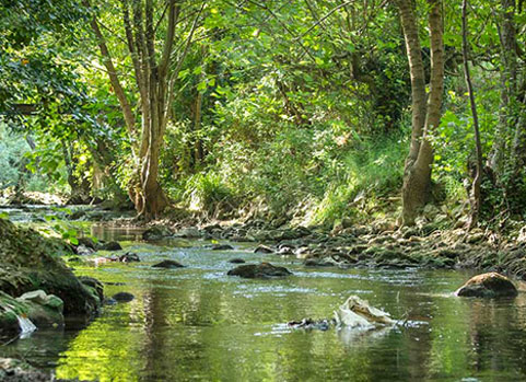 camping en bord de rivière dans le Var