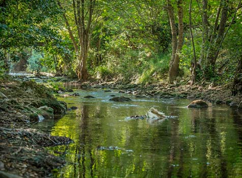 camping nature proprietaire var