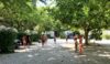 petit camping sud de la france