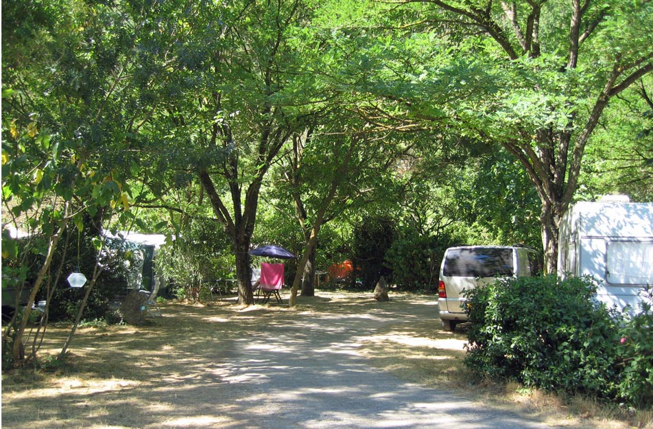 flower camping