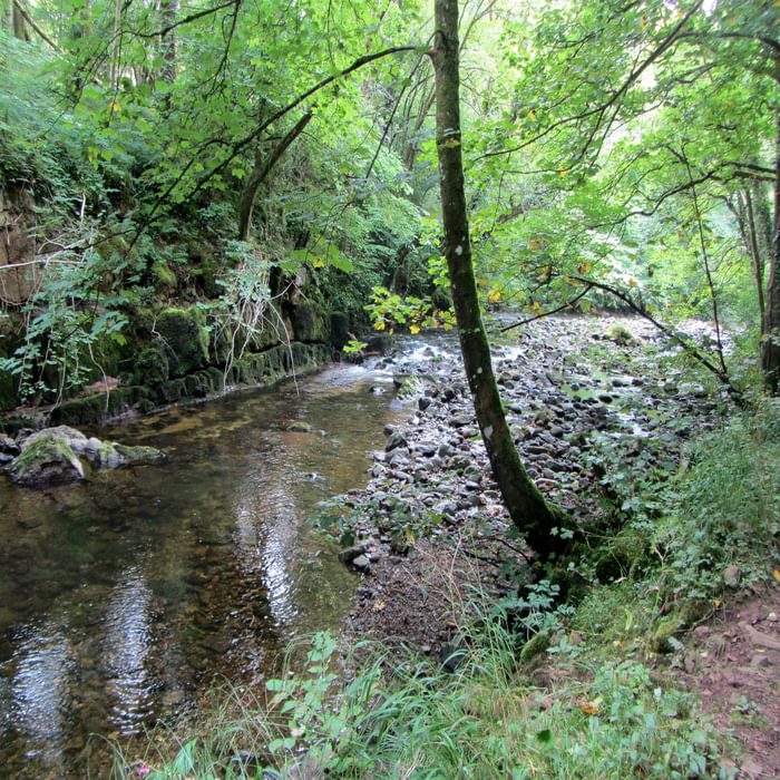 camping nature proprietaire var